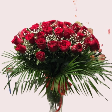 vazoda 41 kırmızıgül A.Kalite